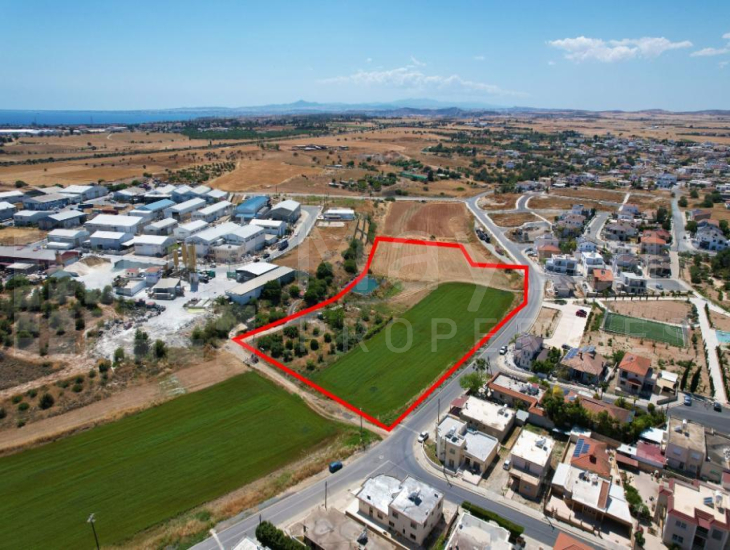 Shared field in Xylotymvou, Larnaca