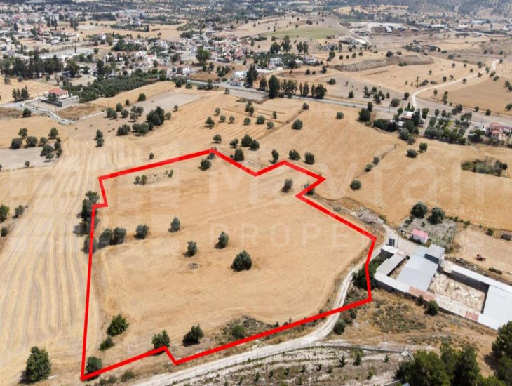 Shared field in Anglisides, Larnaca