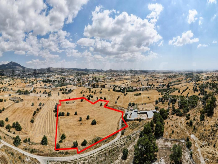 Shared field in Anglisides, Larnaca