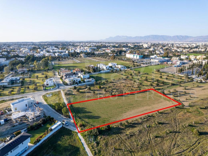 Shared field in Chryseleousa, Strovolos