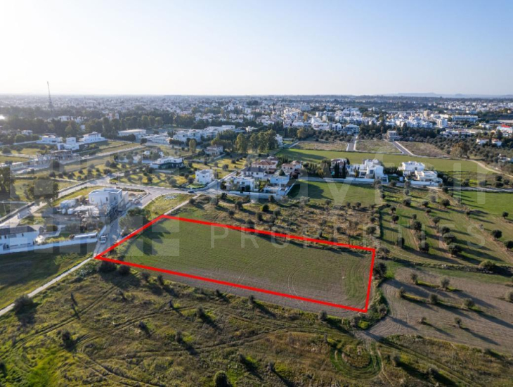 Shared field in Chryseleousa, Strovolos