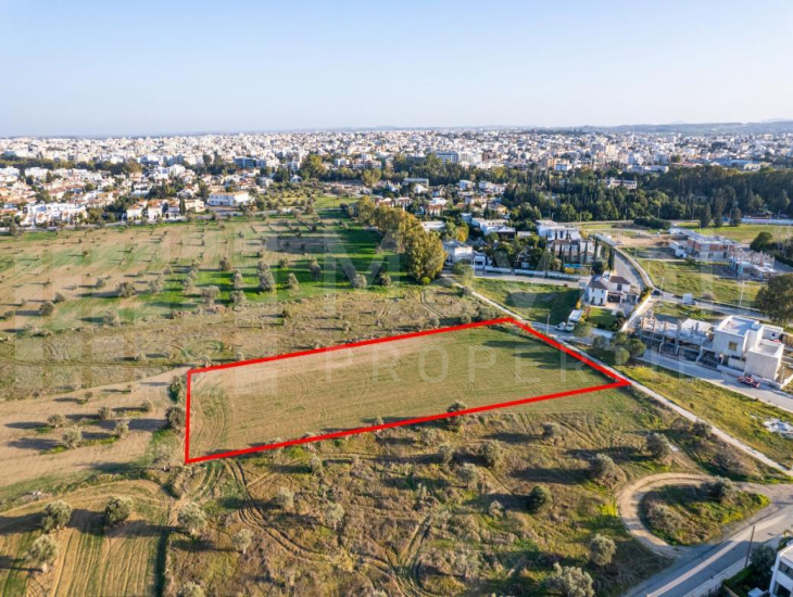 Shared field in Chryseleousa, Strovolos