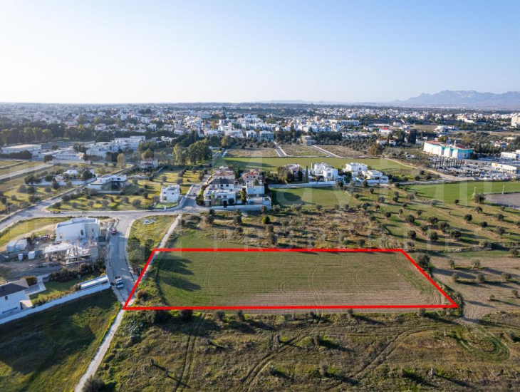 Shared field in Chryseleousa, Strovolos