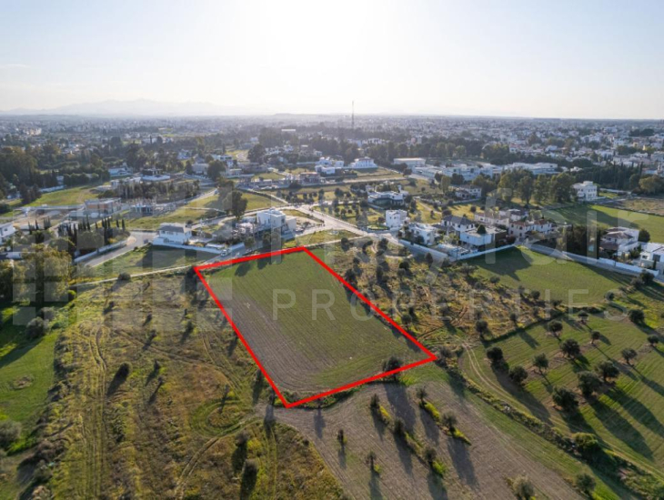 Shared field in Chryseleousa, Strovolos