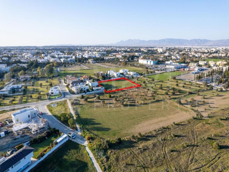 Shared field in Chryseleousa, Strovolos