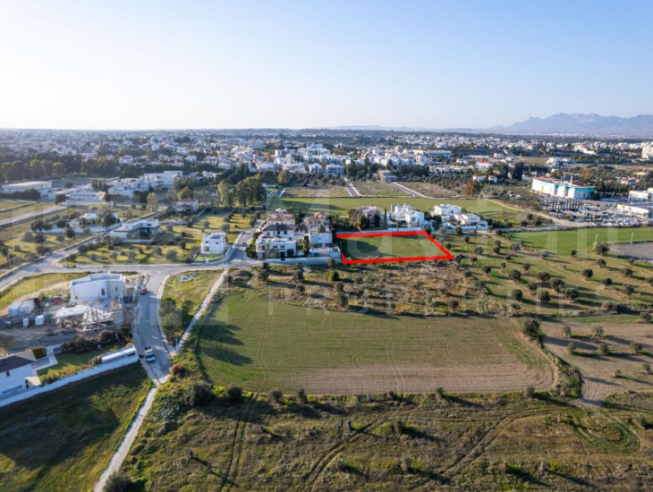 Shared field in Chryseleousa, Strovolos