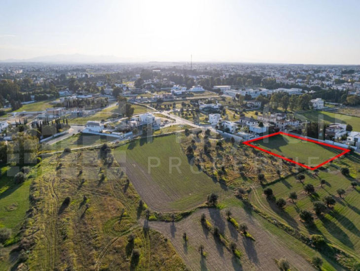 Shared field in Chryseleousa, Strovolos