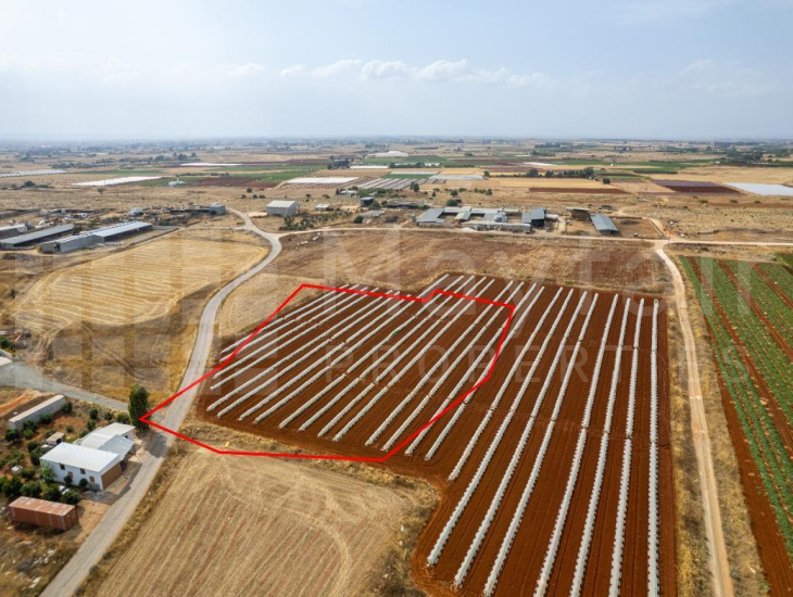 Field in Liopetri, Famagusta