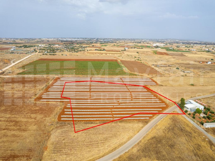 Field in Liopetri, Famagusta