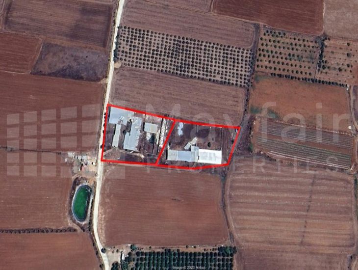 Two agricultural fields in Astromeritis, Nicosia
