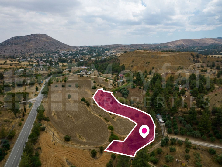 Γεωργικό τεμάχιο, Μιτσερό