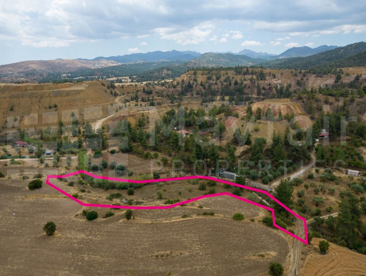 Γεωργικό τεμάχιο, Μιτσερό