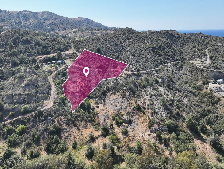Field in Kato Pyrgos, Nicosia