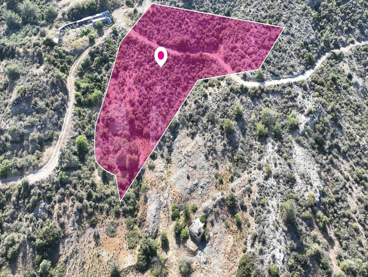 Field in Kato Pyrgos, Nicosia