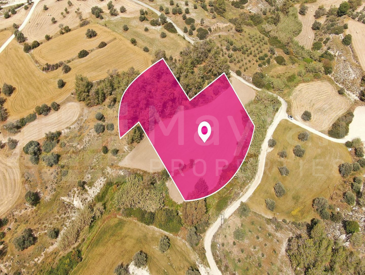 Field in Anglisides, Larnaca