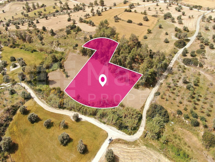 Field in Anglisides, Larnaca