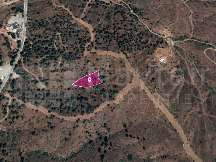 Field in Evrychou, Nicosia