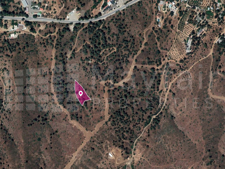 Field in Evrychou, Nicosia
