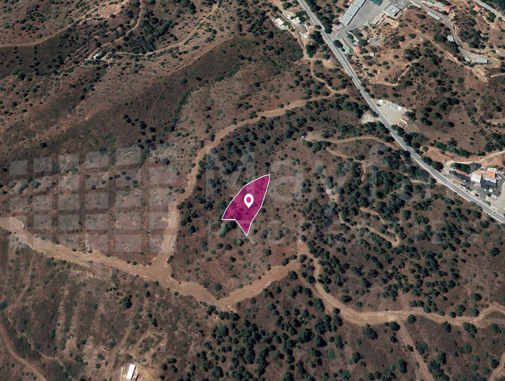 Field in Evrychou, Nicosia