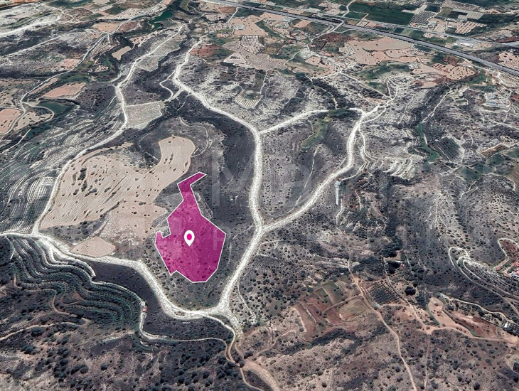 Field in Anglisides, Larnaca