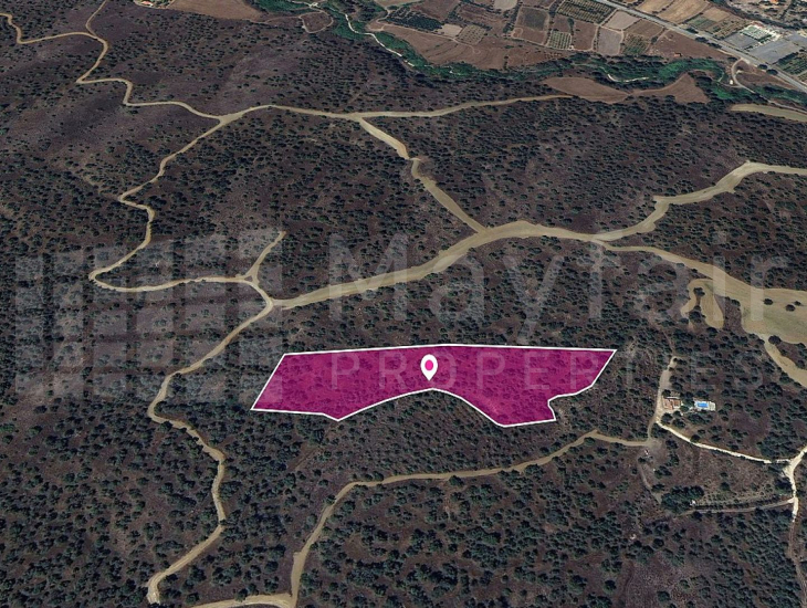 (Share) Agricultural field in Evrychou, Nicosia