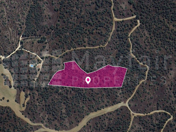 (Share) Agricultural field in Evrychou, Nicosia