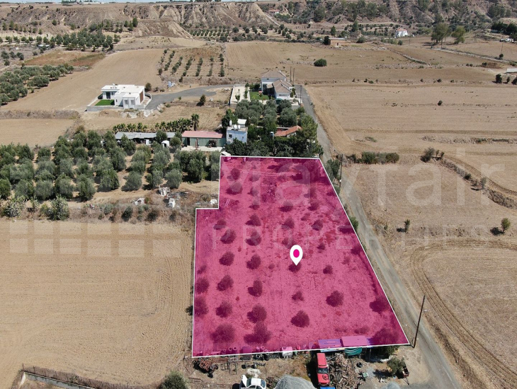 Residential Field in Pera, Nicosia