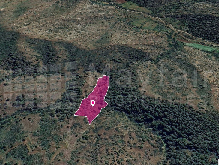 Agricultural Field in Pigenia, Nicosia