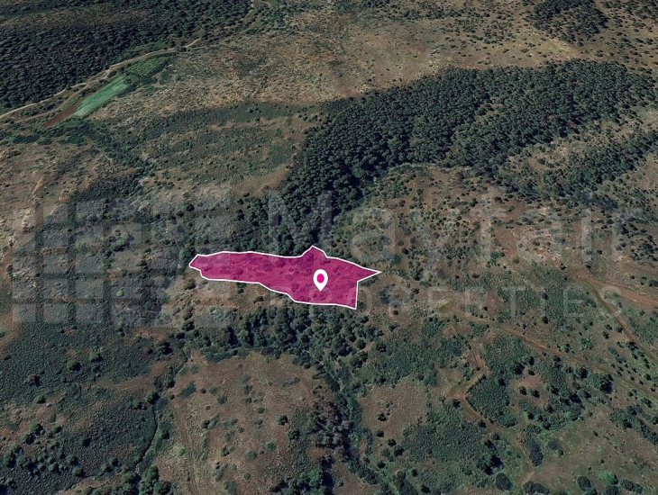 Agricultural Field in Pigenia, Nicosia