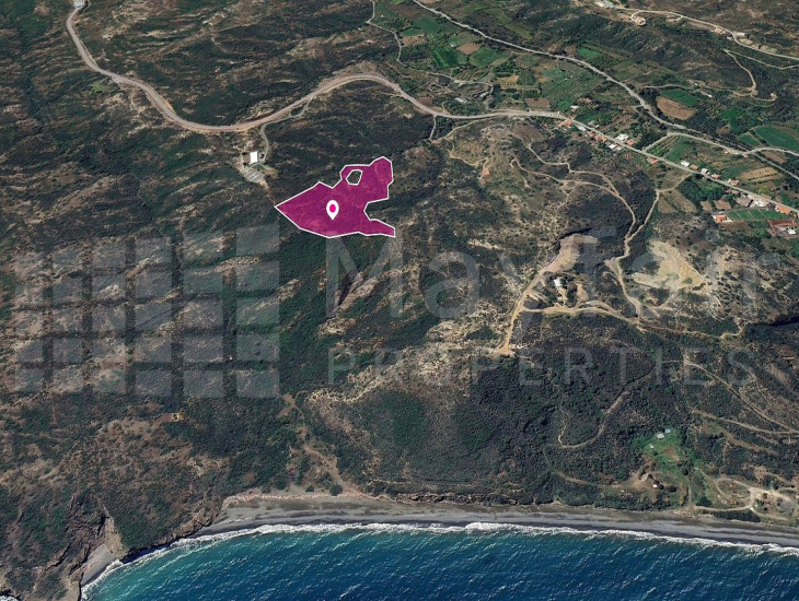 (Share) Agricultural Field in Kato Pyrgos, Nicosia