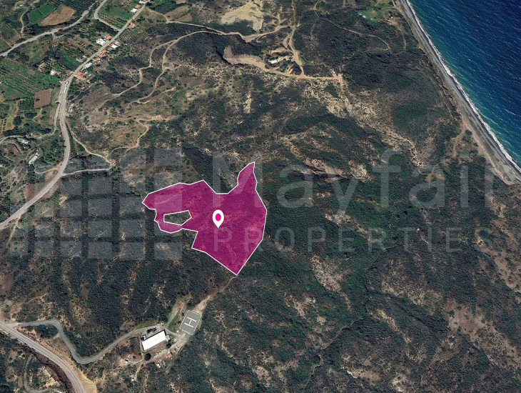 (Share) Agricultural Field in Kato Pyrgos, Nicosia