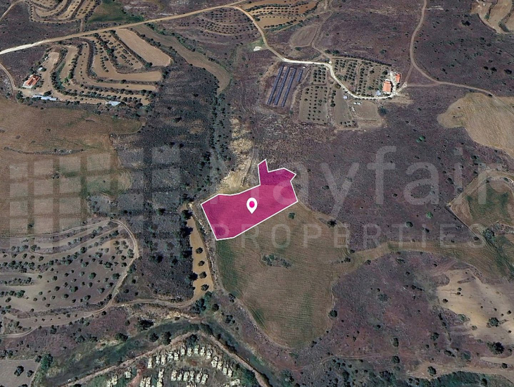 Field in Agrokipia, Nicosia