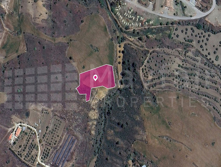 Field in Agrokipia, Nicosia