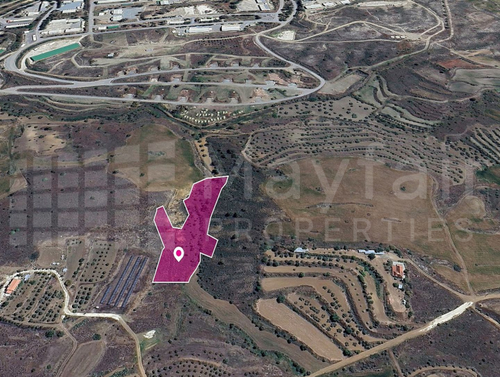 Field in Agrokipia, Nicosia