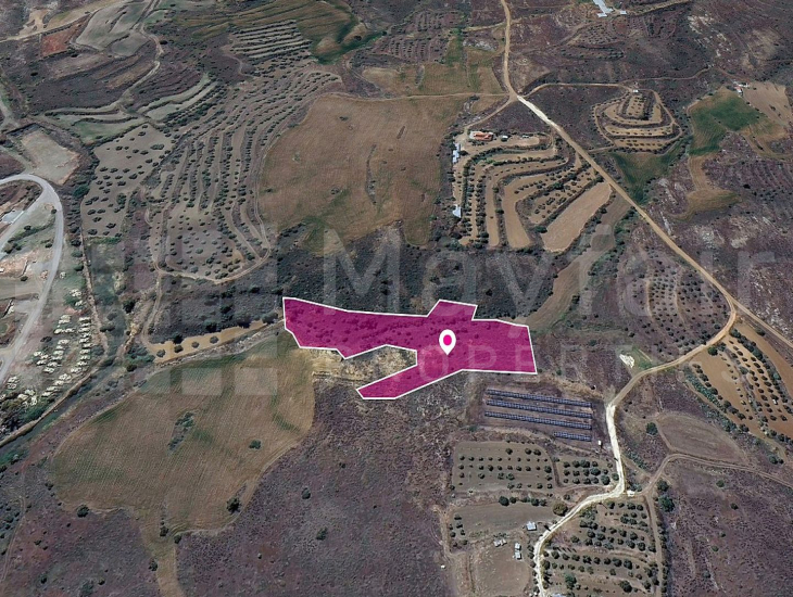 Field in Agrokipia, Nicosia