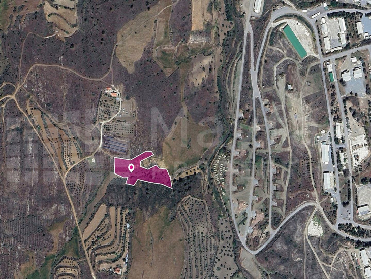 Field in Agrokipia, Nicosia