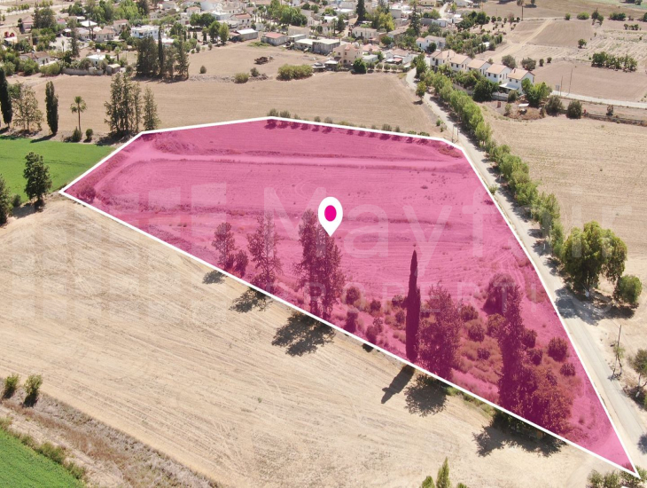 (Share) Field in Potamia, Nicosia