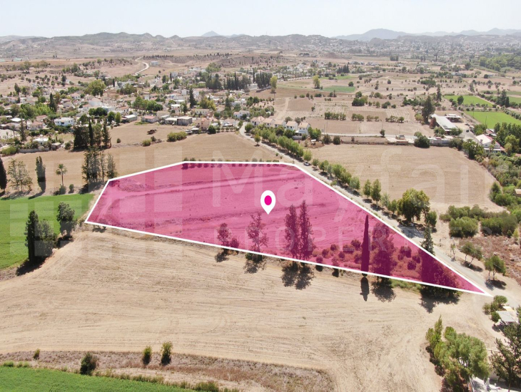 (Share) Field in Potamia, Nicosia