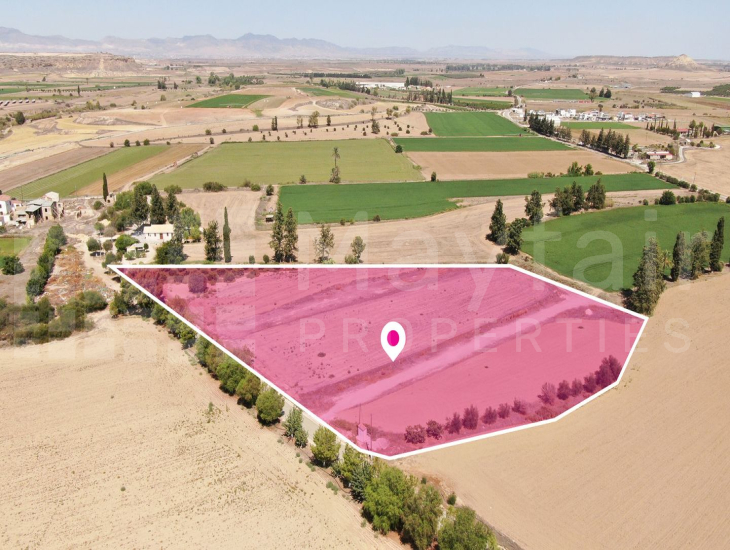 (Share) Field in Potamia, Nicosia