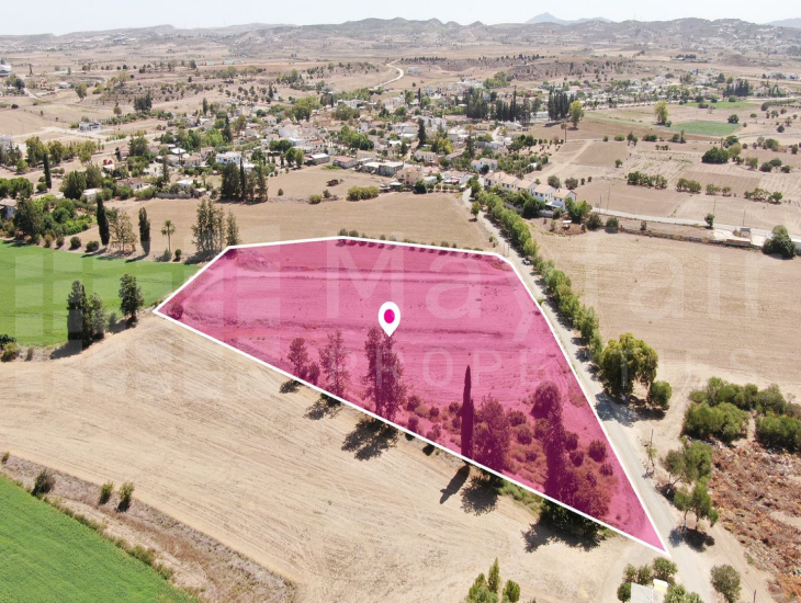 (Share) Field in Potamia, Nicosia