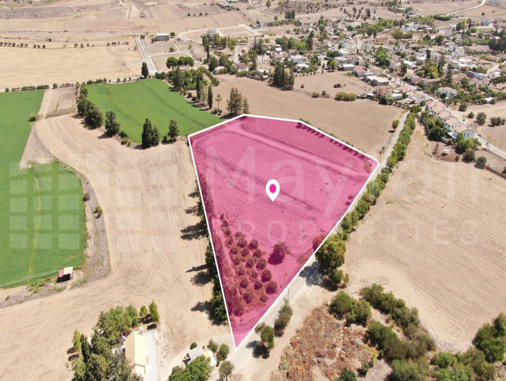 (Share) Field in Potamia, Nicosia