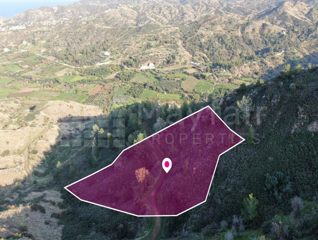Residential field located in Pigenia, Nicosia