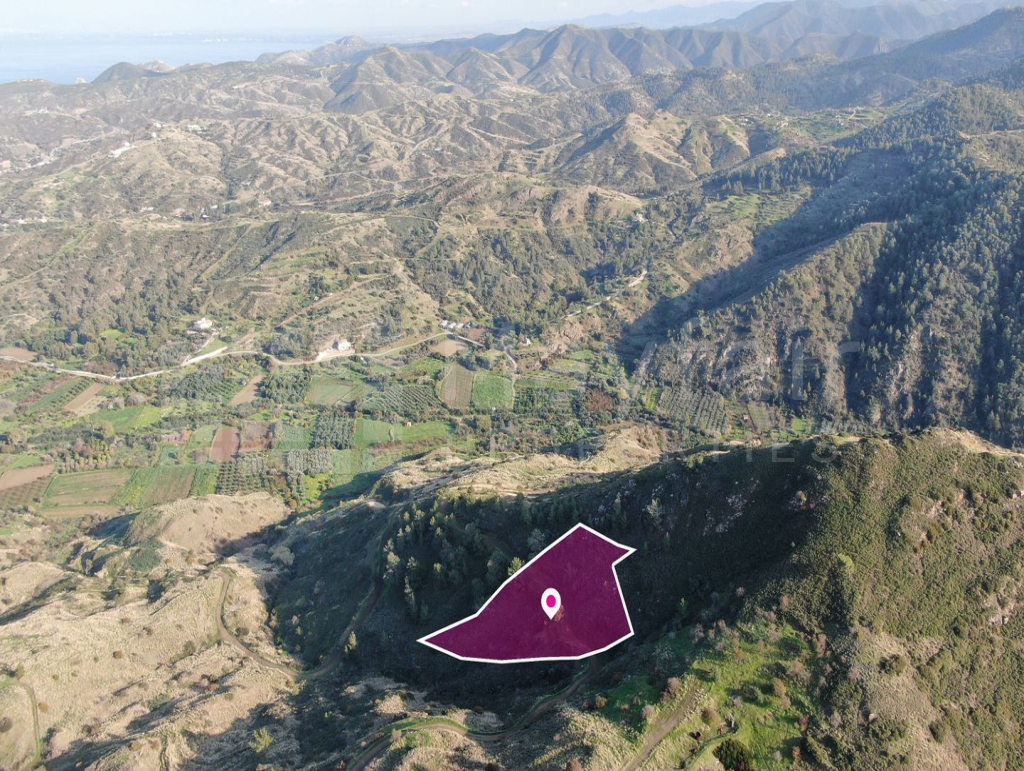 Residential field located in Pigenia, Nicosia