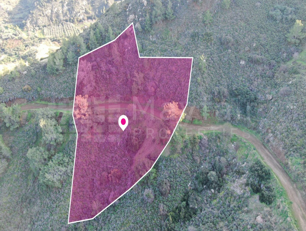 Residential field located in Pigenia, Nicosia