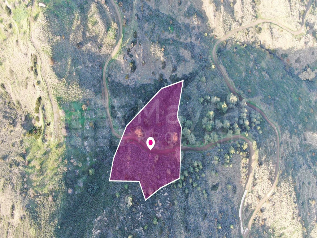 Residential field located in Pigenia, Nicosia