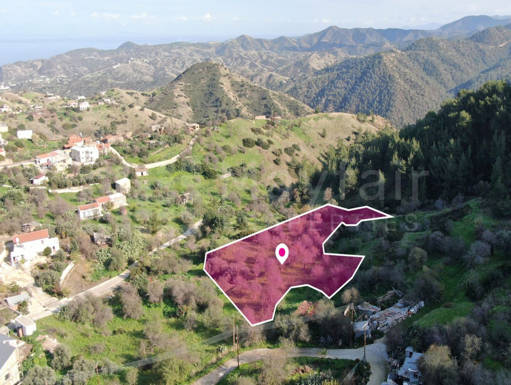 Residential field located in Pigenia, Nicosia