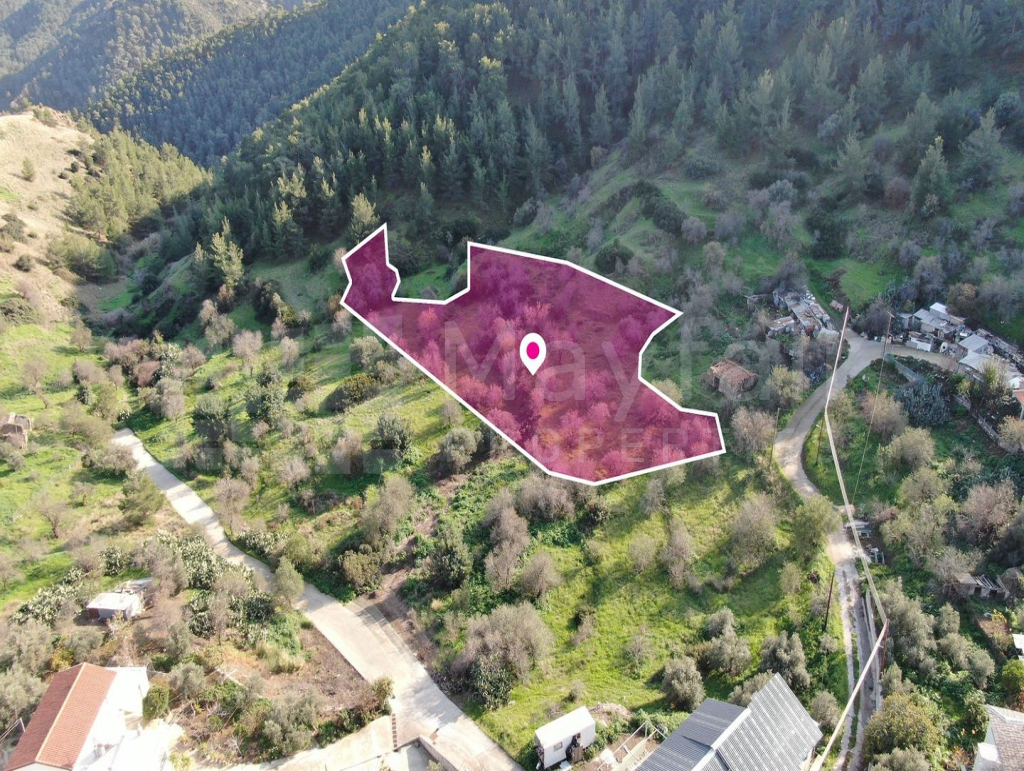 Residential field located in Pigenia, Nicosia