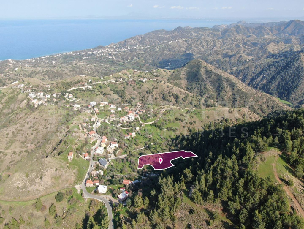 Residential field located in Pigenia, Nicosia