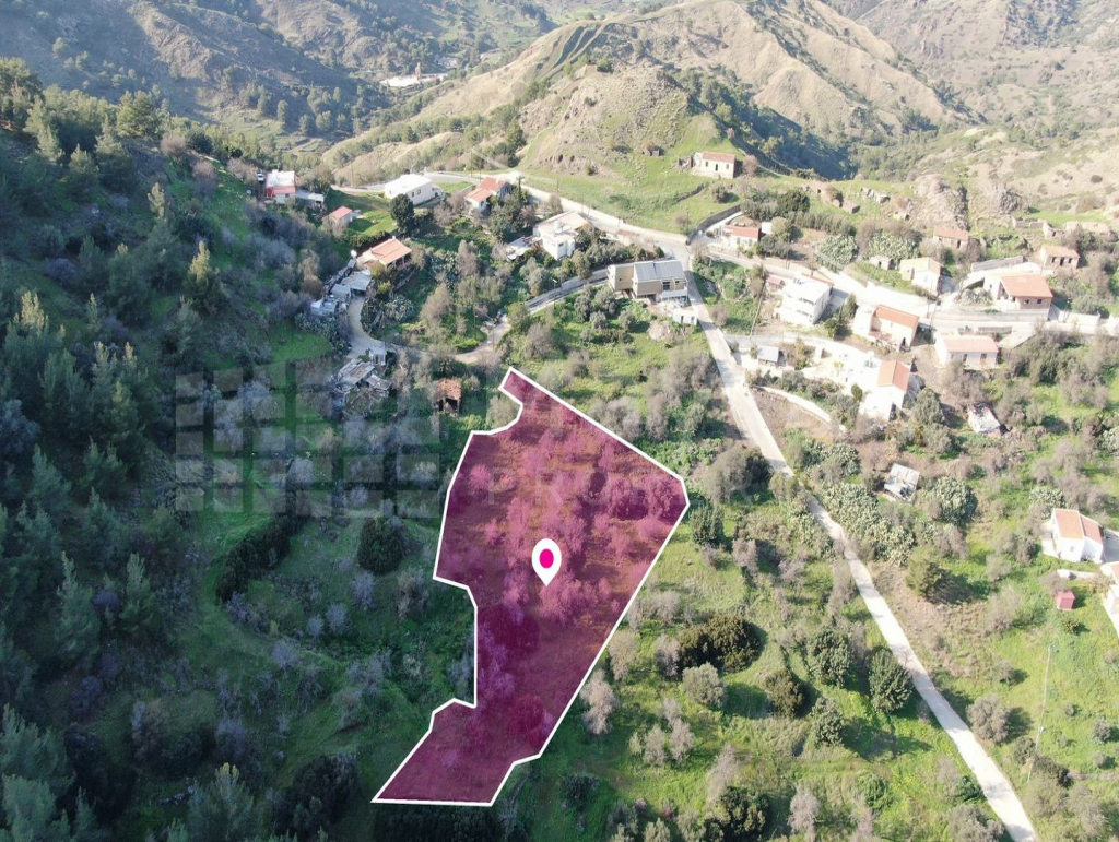 Residential field located in Pigenia, Nicosia