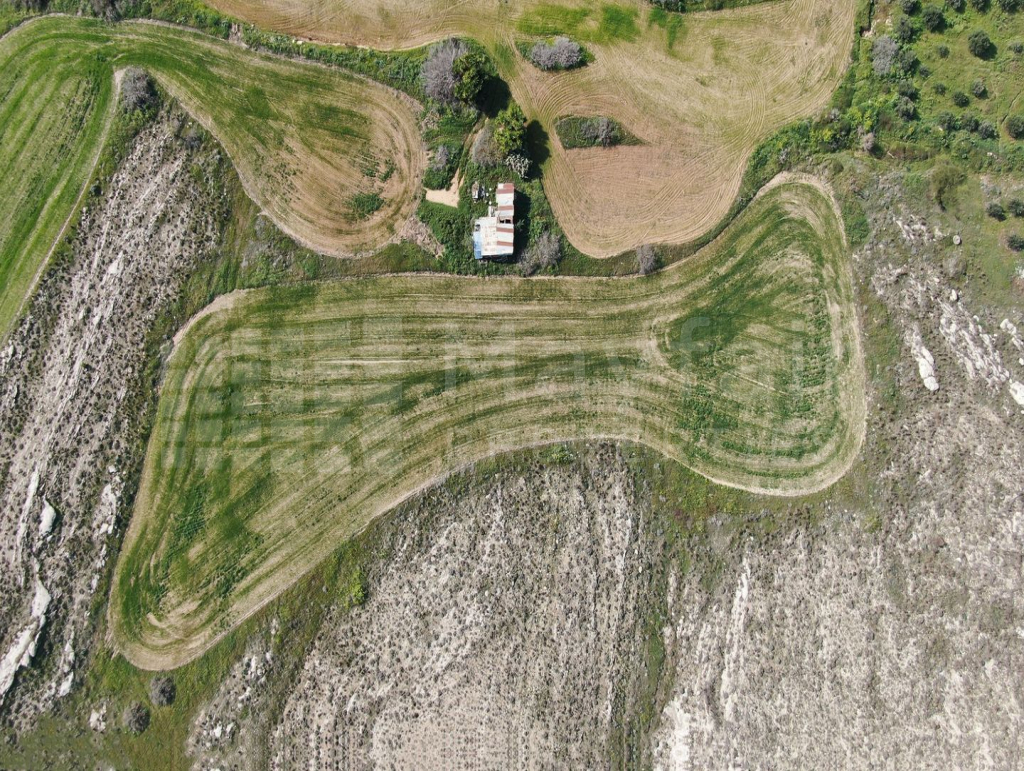Residential field, Geri